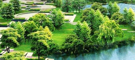 屋顶花园绿化,城市绿化,郑州园林景观设计