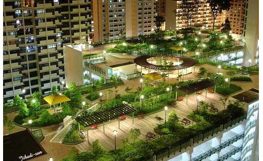 郑州屋顶花园绿化