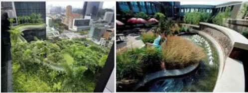 郑州绿色大地园林景观工程，园林景观设计，园林景观绿化