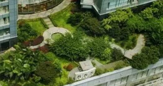 郑州别墅庭院设计,  郑州园林景观设计,屋顶绿化
