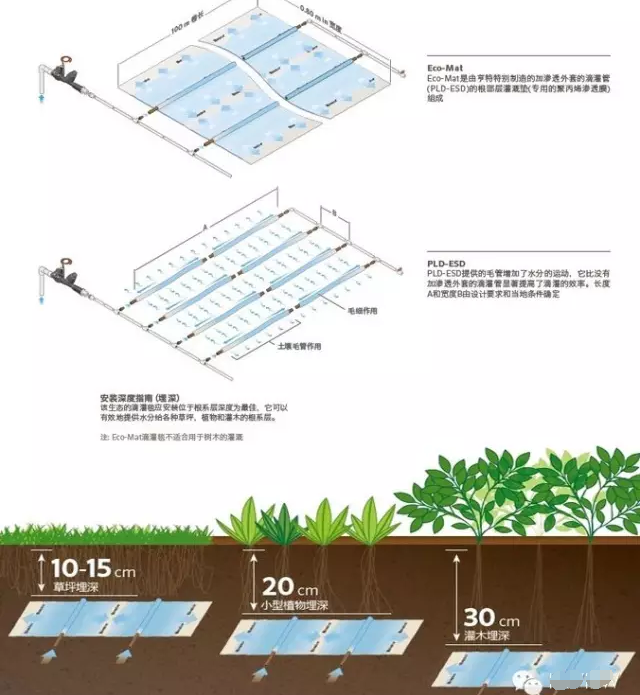 屋顶花园绿化,郑州绿色大地,郑州屋顶花园施工