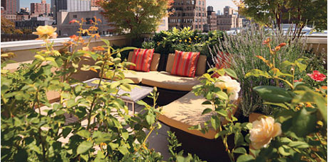 郑州屋顶花园绿化给您先容屋顶花园有哪些类型